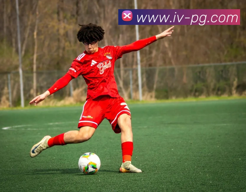 pg电子平台生态图